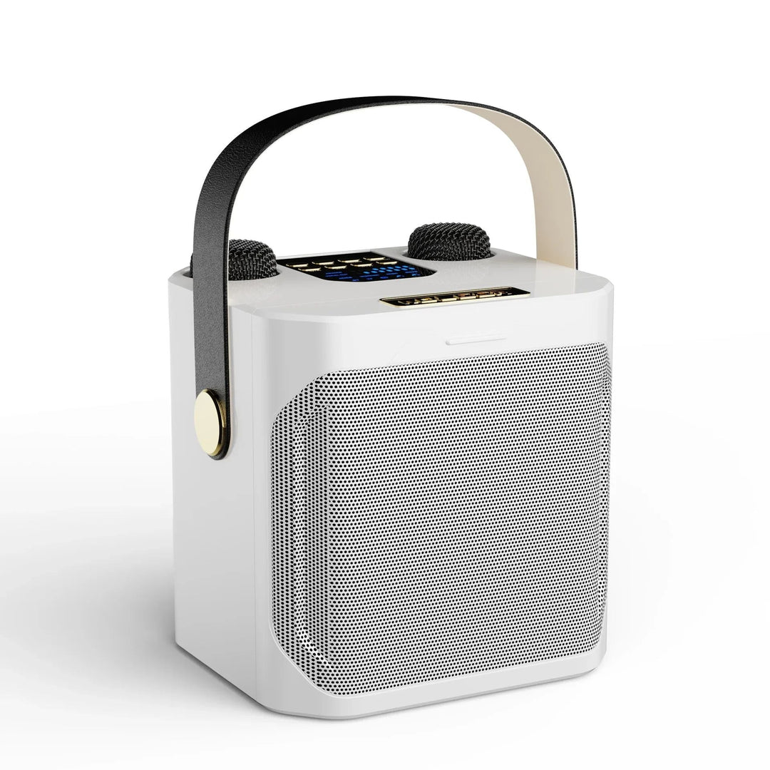 Karaoke Bluetooth Speaker Portable – 360° Stereo, Dual Microphones & Wireless Subwoofer for Party & Outdoor