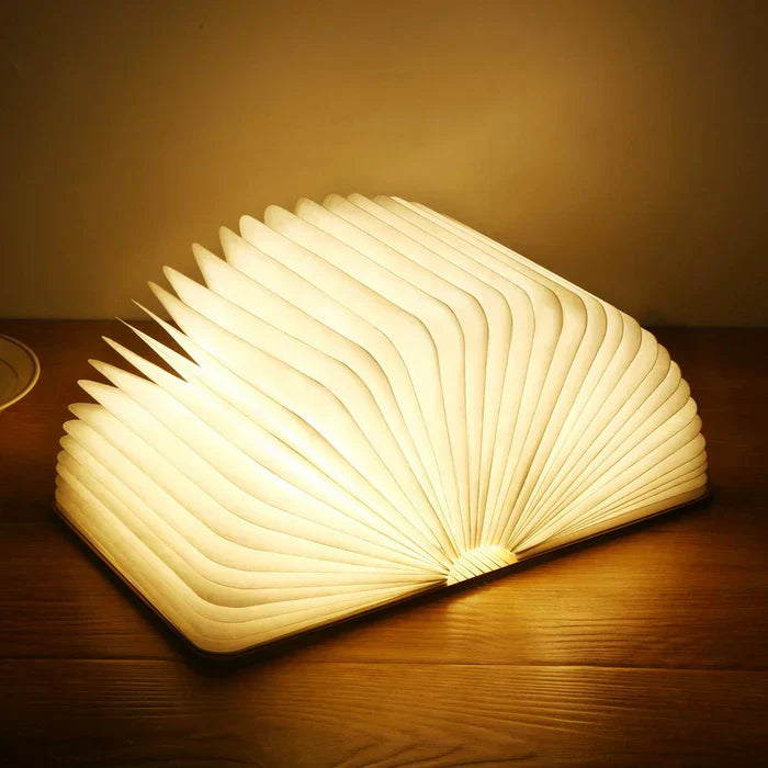 LED Book Lamp Adjustable Brightness – Flexible Arm, USB Rechargeable & Portable Light for Reading
