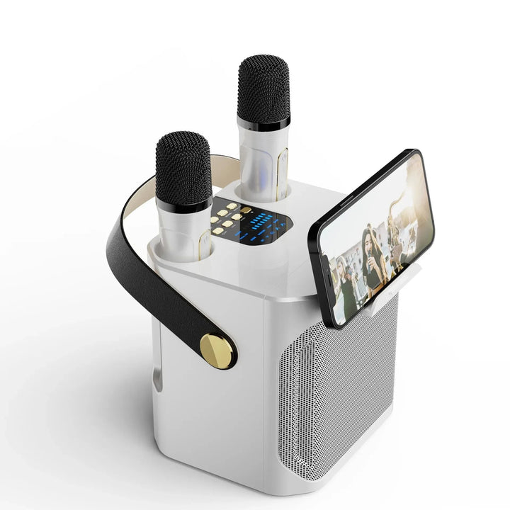Karaoke Bluetooth Speaker Portable – 360° Stereo, Dual Microphones & Wireless Subwoofer for Party & Outdoor