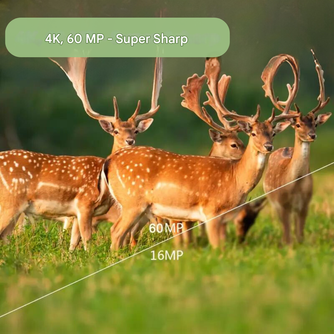 4K Trail Camera 60MP Wildlife Waterproof Motion Activated