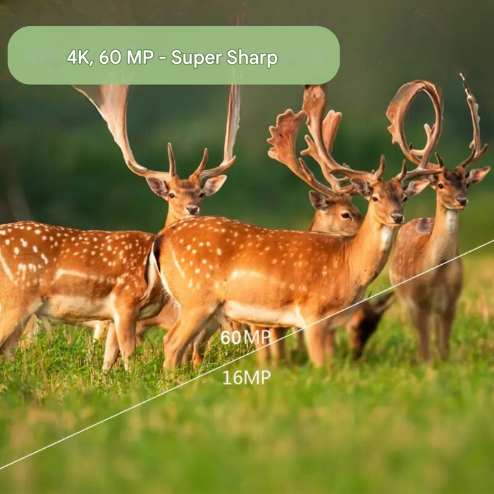 4K Trail Camera 60MP Wildlife Waterproof Motion Activated